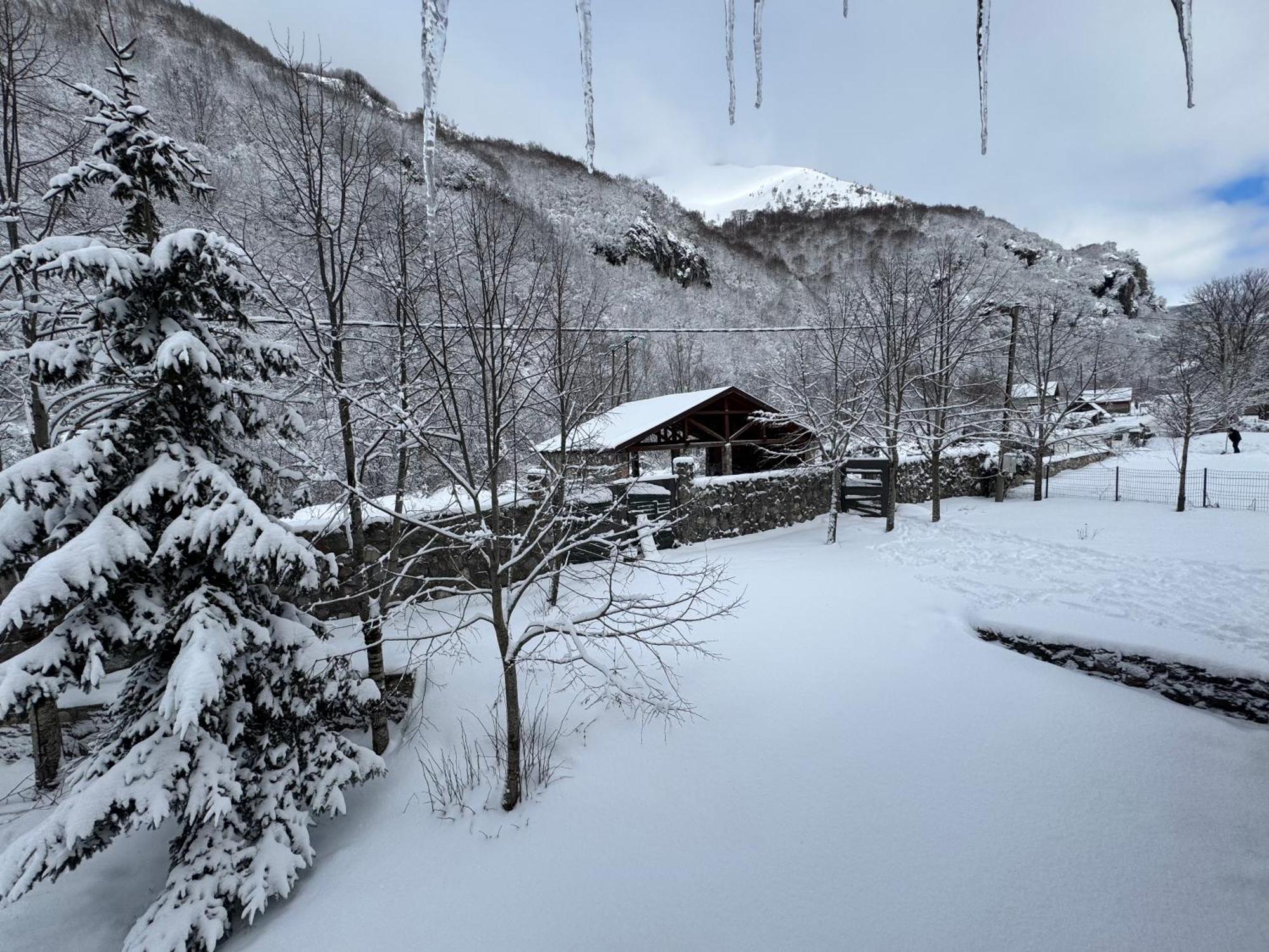 Вілла Vikendice Biocinovici Колашин Екстер'єр фото